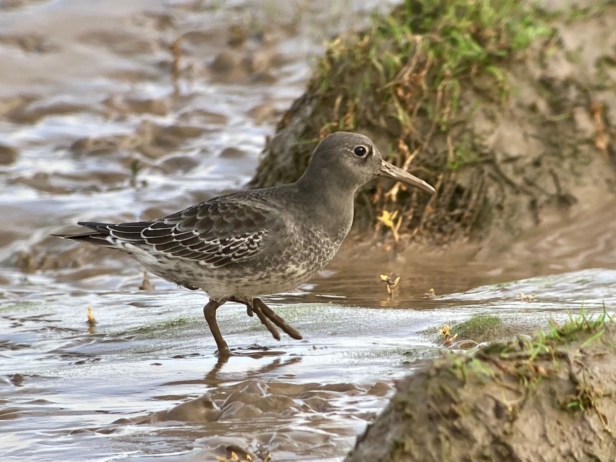 019ad466 6007 4909 b59f adf5ae500961