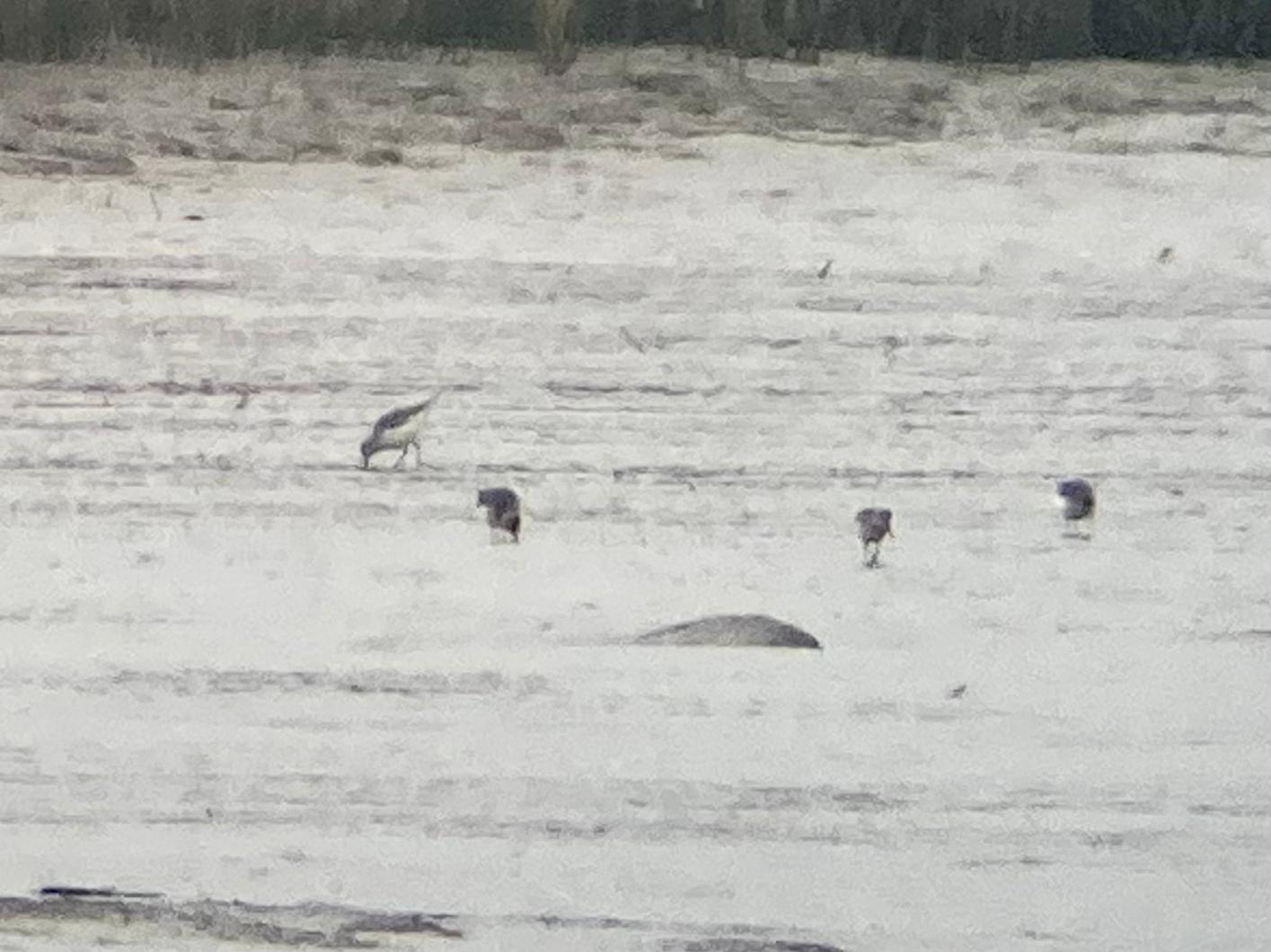 18f481b0 d3e8 4a96 b4bb f0a446167667