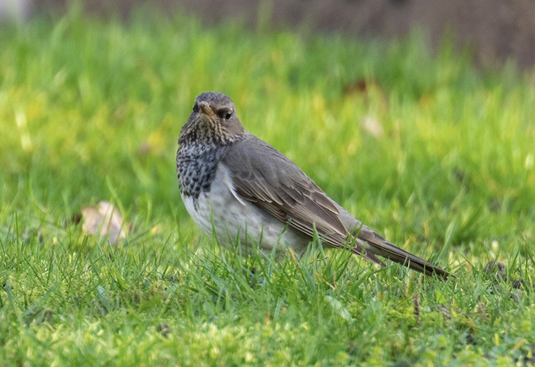 Screenshot 2025 10 16 at 13.39.22