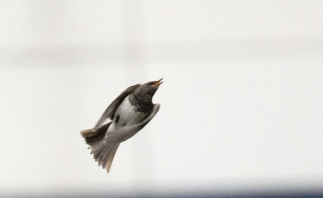 Screenshot 2025 10 16 at 13.45.26