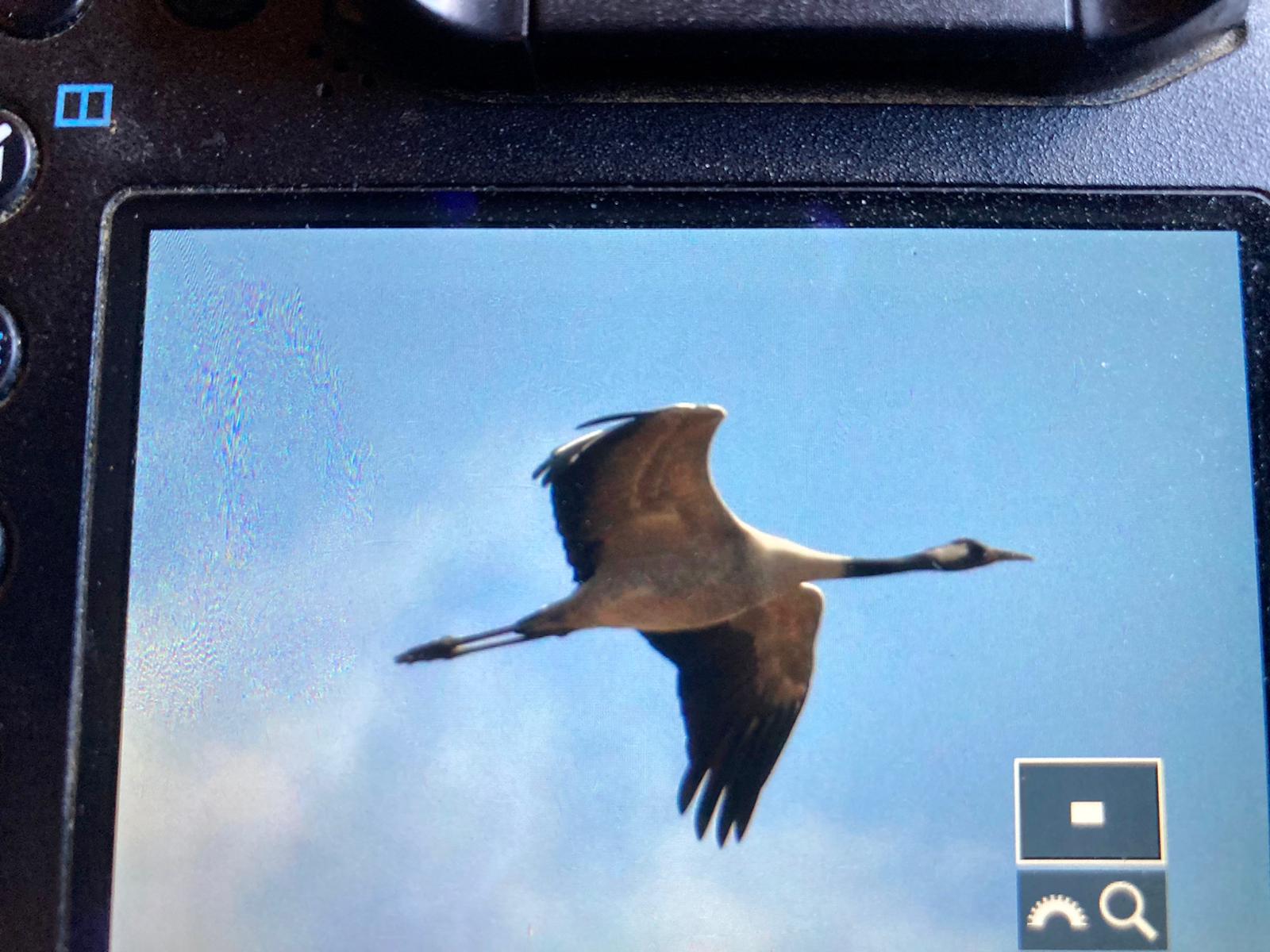 266daa2e 9d9c 4cad 8ac2 675345f6b49d