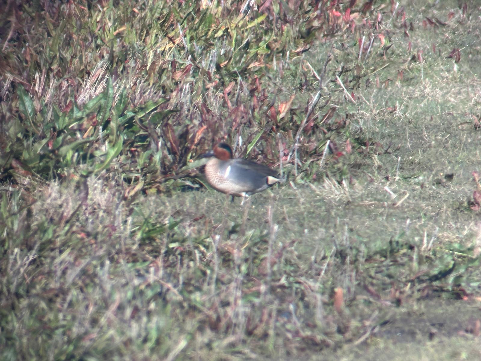 2d2df8f0 51f5 4fe7 8e76 583b9e2ec309