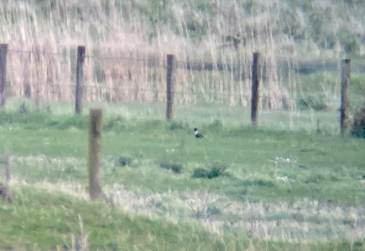 60c9a325 7ee8 4d0a a52a c90ee3c0581b