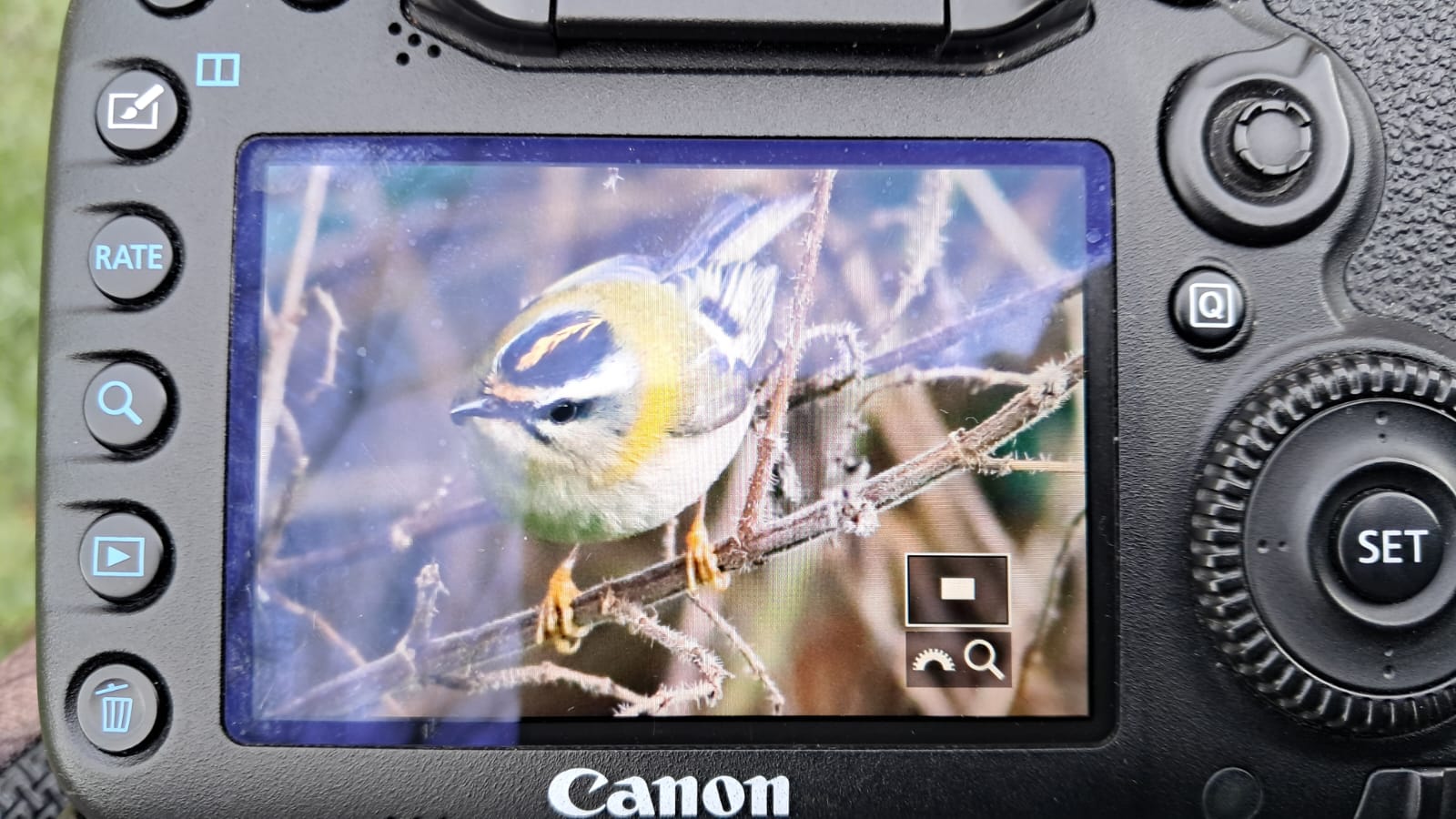 75f3c318 5e54 4e3b ad78 6113db2132b9