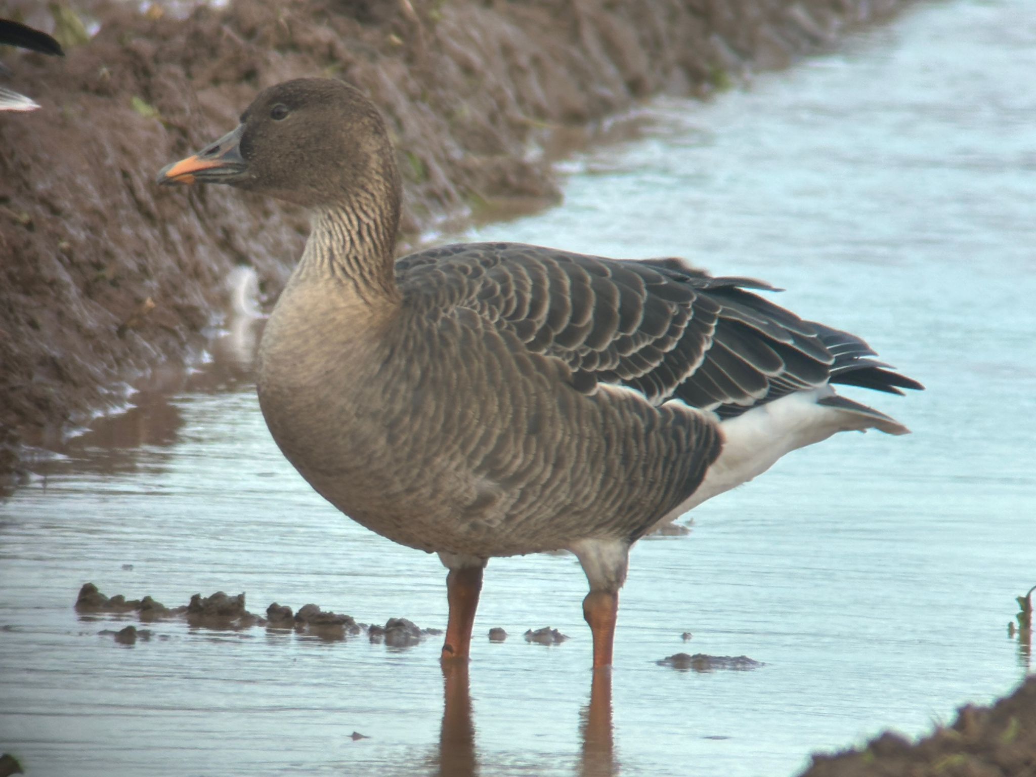 7844473f 9d98 4b71 a365 88cdb9eec756 1