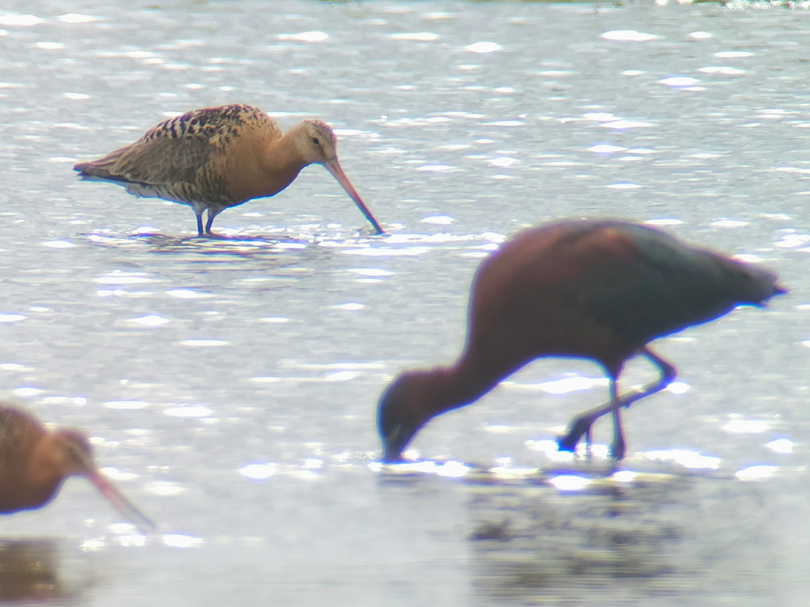 78d83fed 9a56 4ef4 b36b 2b50674f9a61