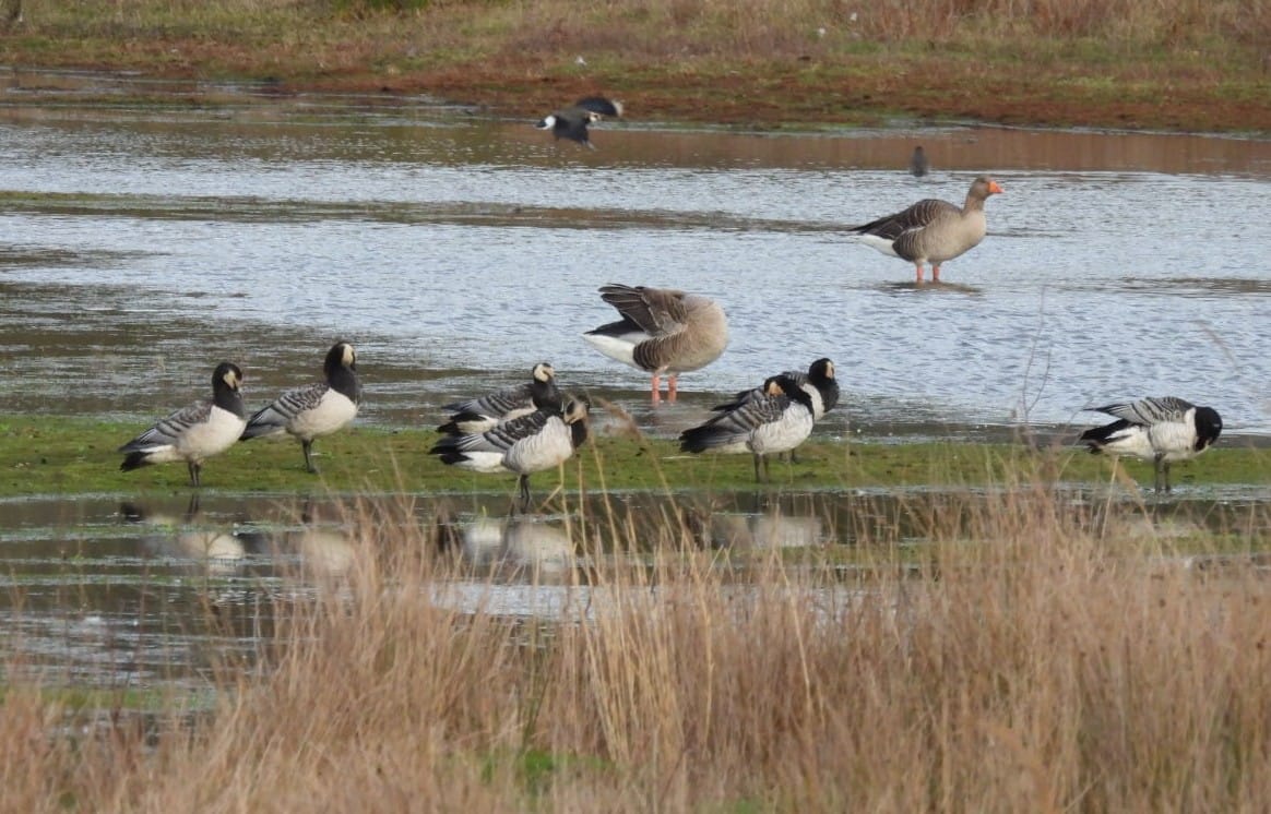 7f59d201 f79b 4d36 8821 a03b6c31af44