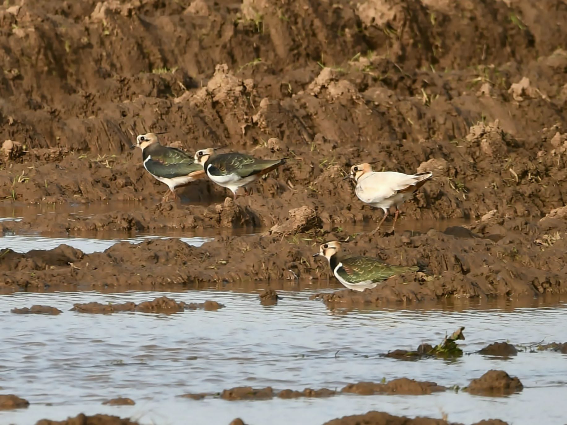 9346fba3 7b67 469a bffe 2bec5f677be4