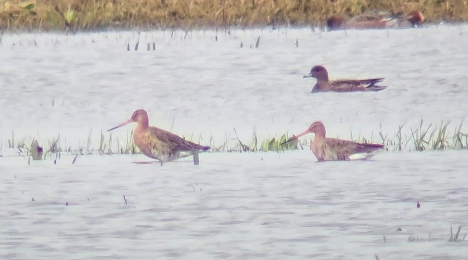 946912ee 2d04 436d 9797 77a18f0f6371