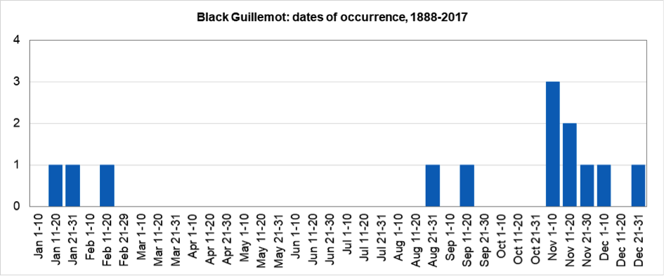 BlackGuillemotHisto2