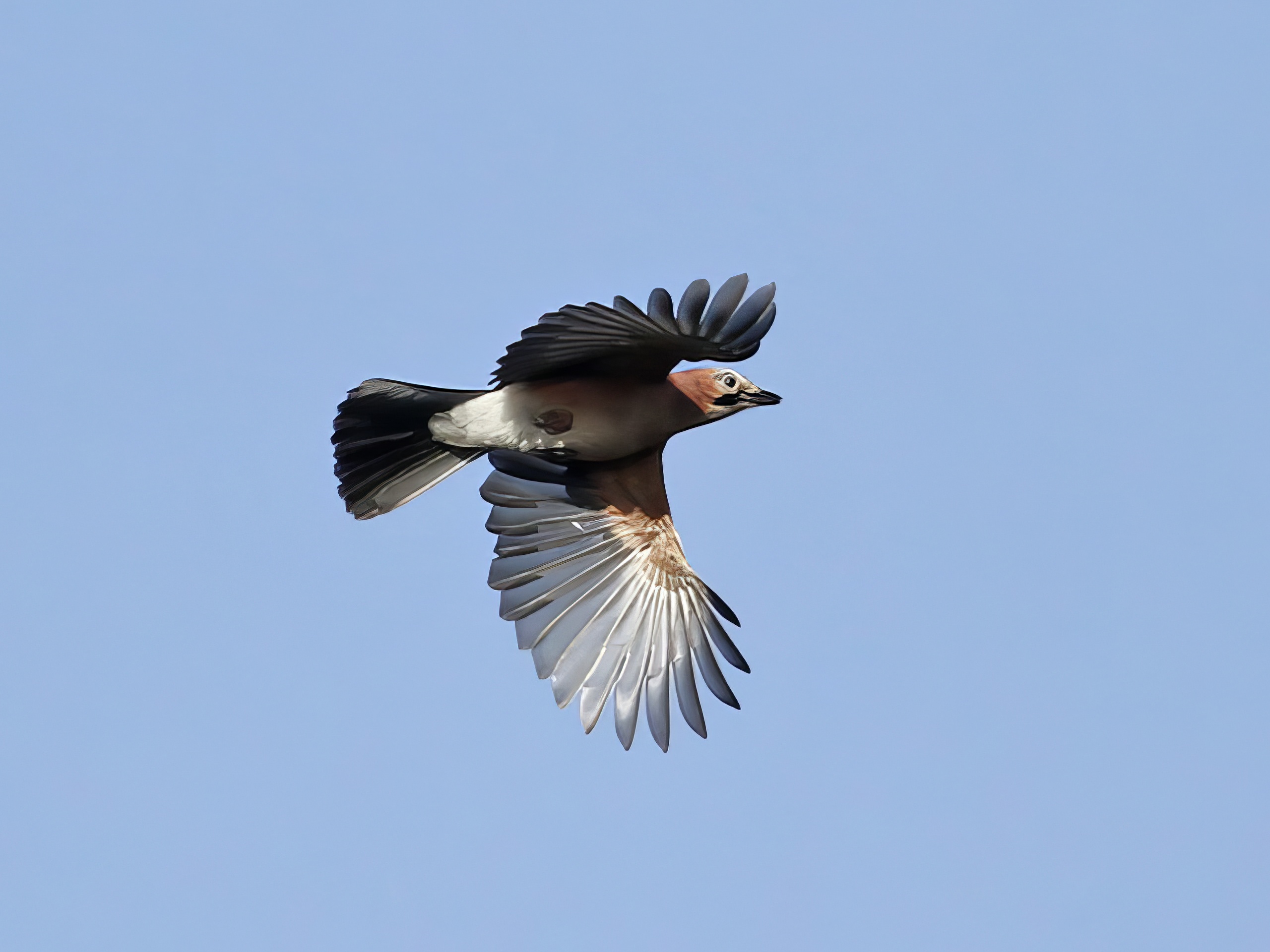 Jay 141012 GibraltarPoint RHayes topaz enhance