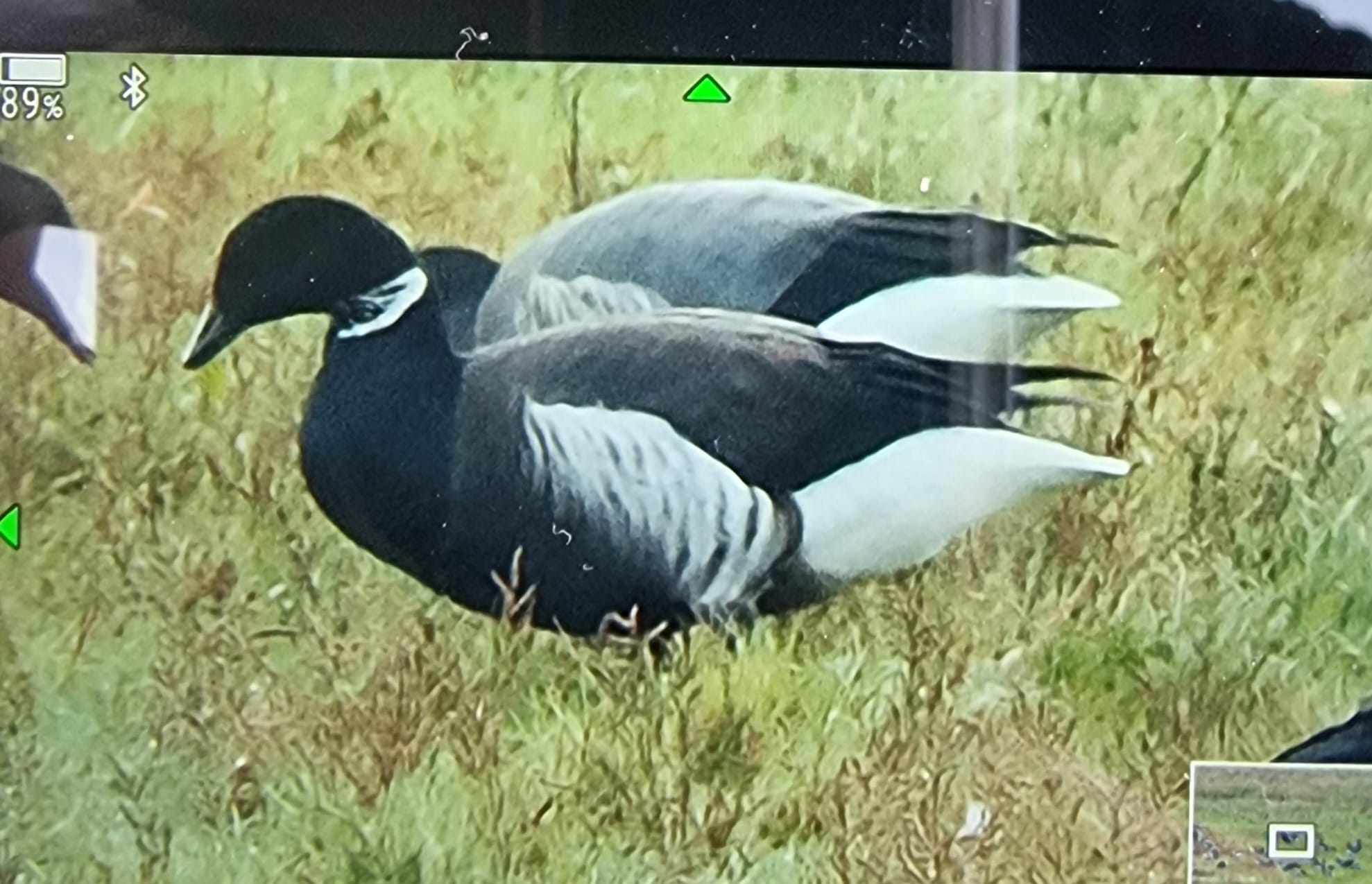 a2803784 db00 4e99 bf28 c63714428d5e