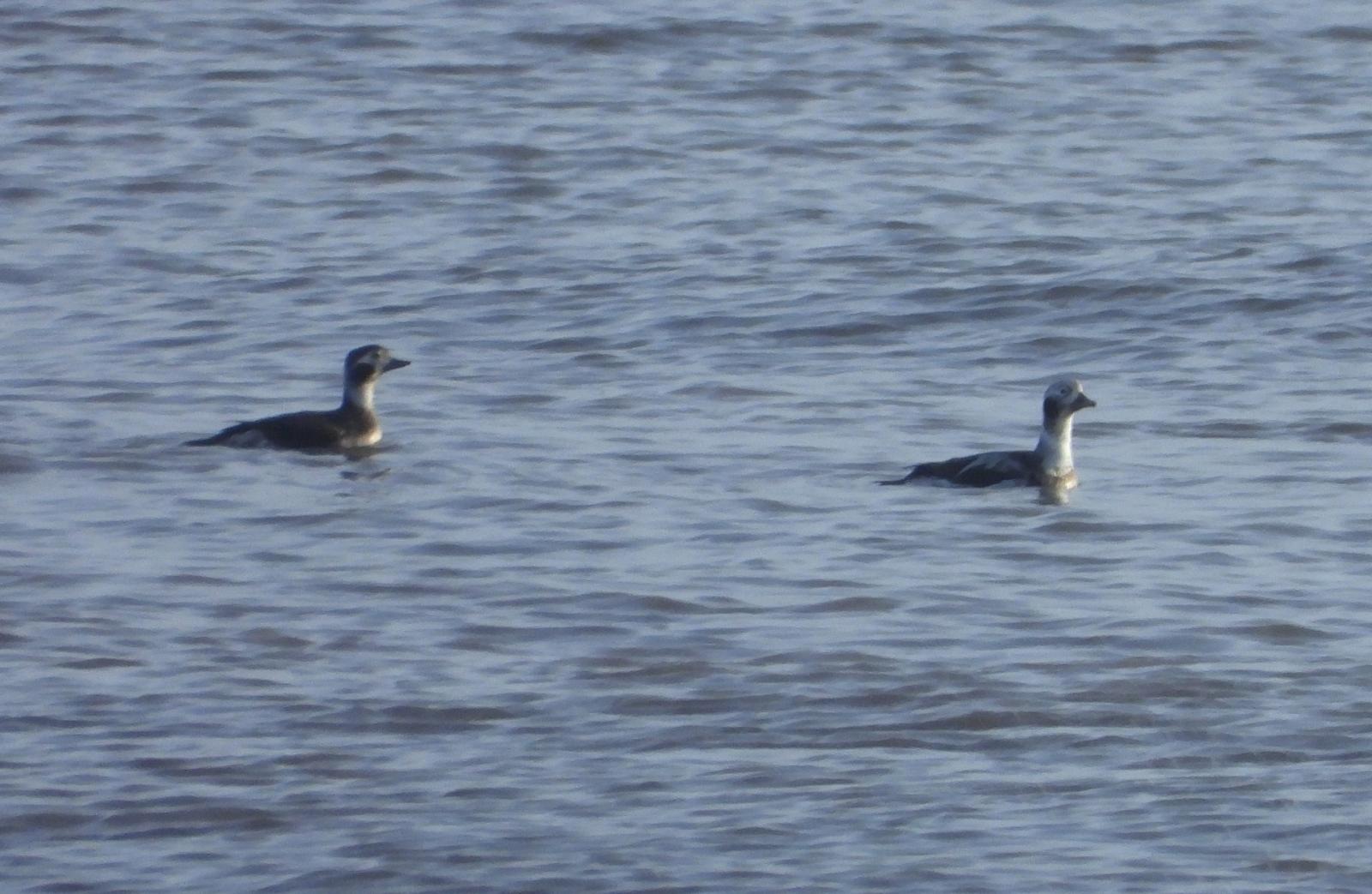 c83db615 42ca 41a1 97d0 e5b90aba1581