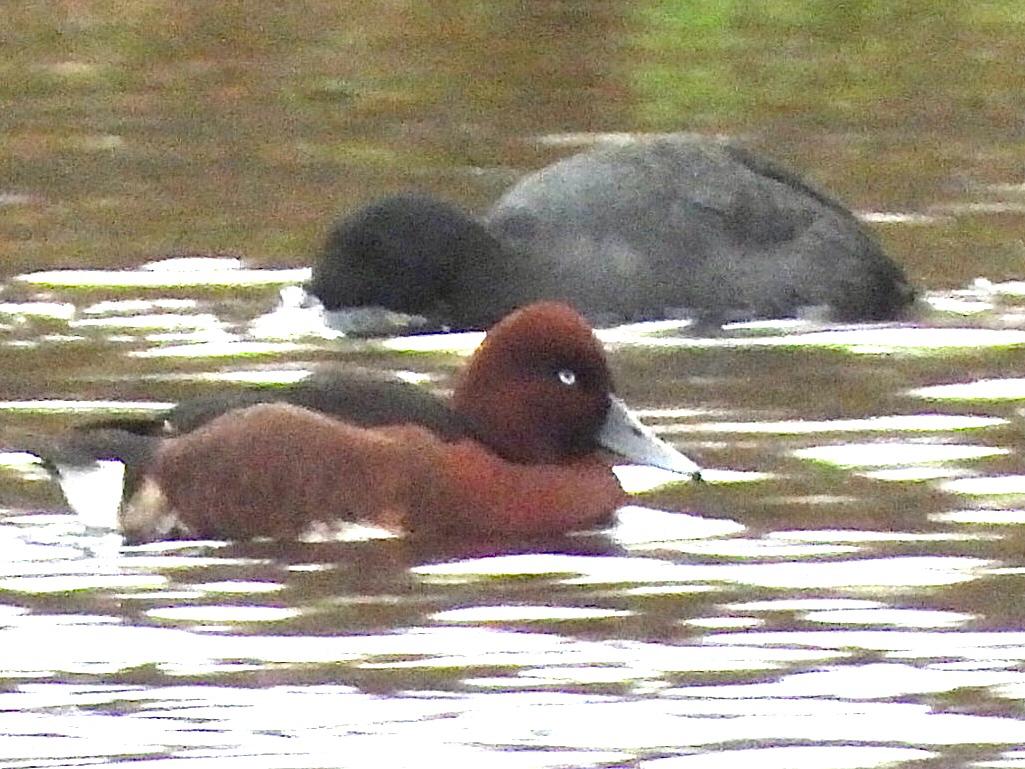 c9adb7a8 5dde 45be 84b9 b9e498d63b9d