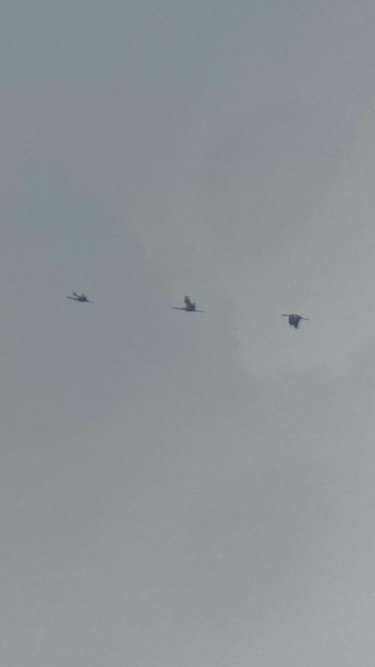 d9156d33 de5e 4f18 874d ebc2aa13b9d7