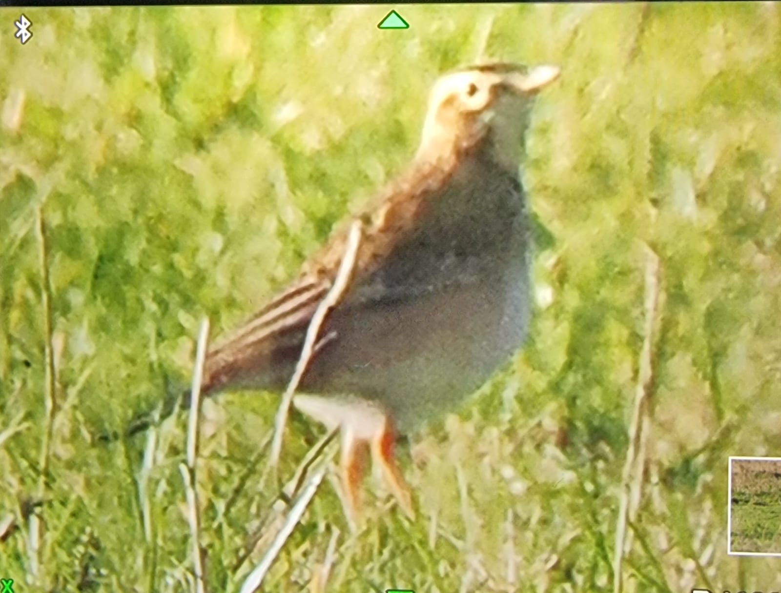 e8ad7109 76c6 4b75 933a 0e8984146e81