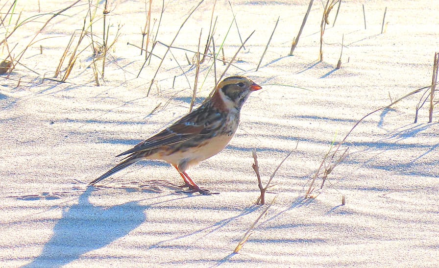 f9bfe205 d2b6 4a91 b7ae 0baf77abbbf9