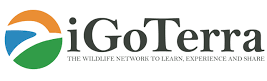 igoterra logo
