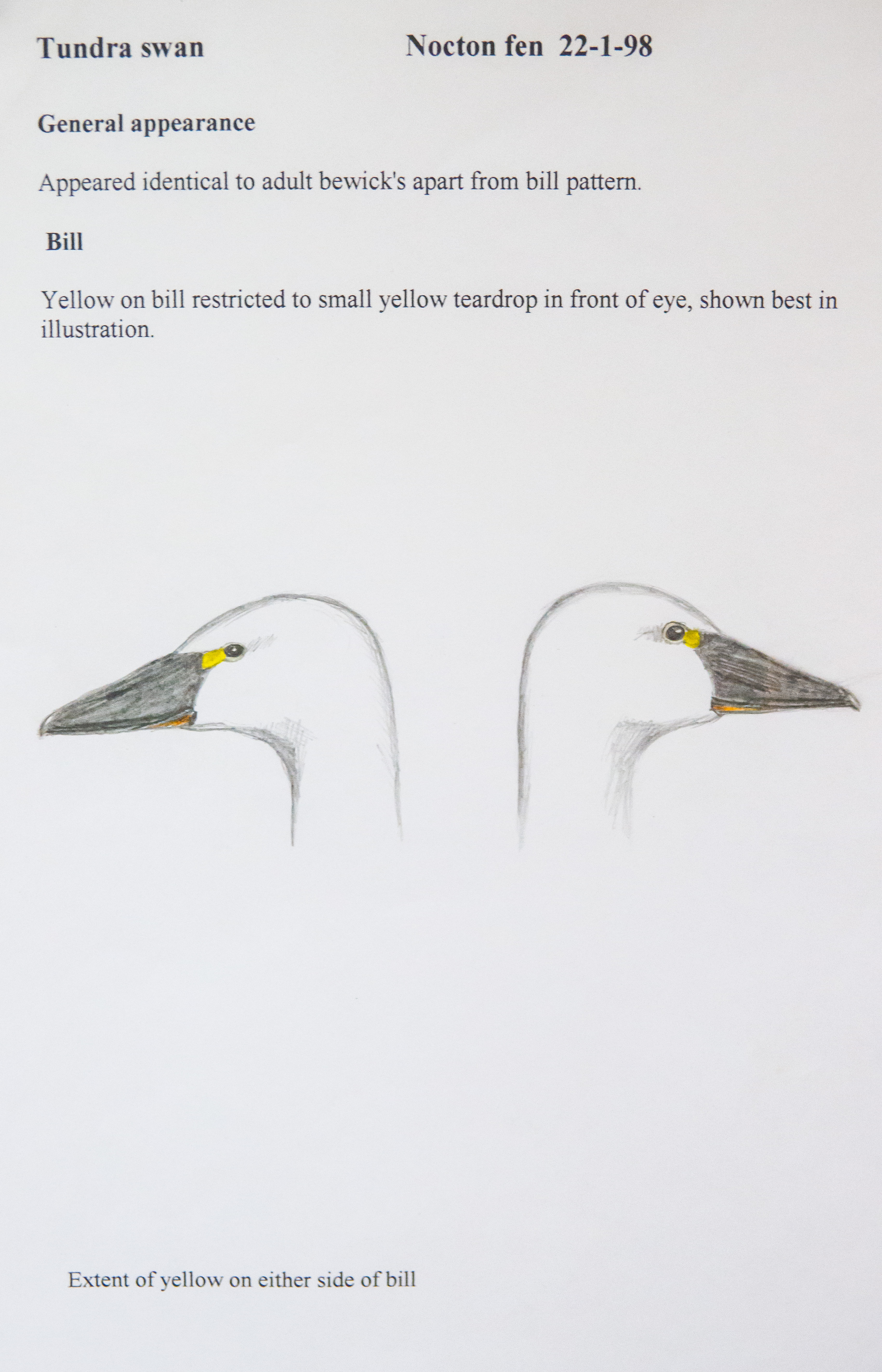 WhistlingSwan KDD Jan1998