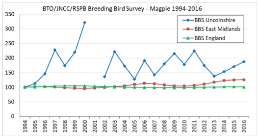 Magpie BBSDatato2016