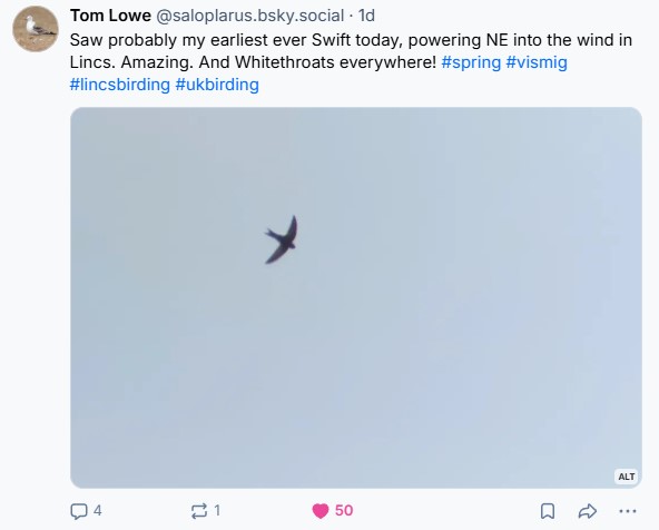 swift.jpg
